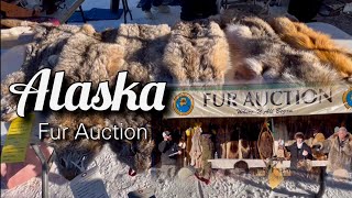 Fur Auction Fur Rondy 2024 Anchorage Alaska 022524 [upl. by Aniat882]