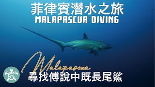 Malapascua Diving ｜菲律賓潛水之旅  媽媽島｜Malapascua 尋找傳說中既長尾鯊 [upl. by Ramburt]