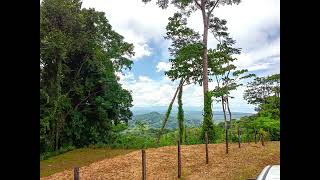 046 ACRES – Ocean View Land Just 4 Minutes Away From El Pavon Waterfall [upl. by Norym]