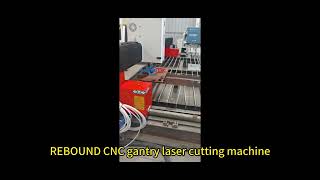 High quality gantry laser cutting machine 8mm carbon steel cutting [upl. by Hansel]