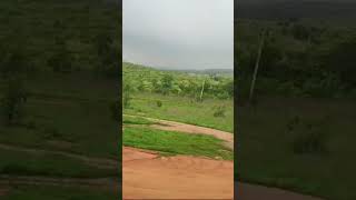 Green beauty in madhya pradesh 🥰🥰 traindingshortsvideo viralshorts2024 [upl. by Jobye]