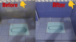 professional toilet cleaning work professional bathroom cleaning work [upl. by Lozar8]