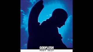 Godflesh  The Infinite End [upl. by Beutner]