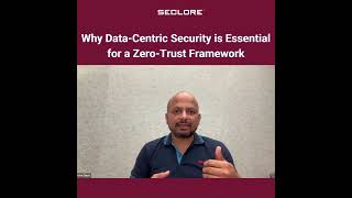 Why Data Centric Security is Essential for a Zero Trust Framework [upl. by Itsirc102]