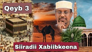 Siirada Xabiibkeena Muxammad ﷺ  Qeybta 3  Sh Mustafe Xaaji Ismaaciil [upl. by Ives474]