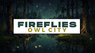 Owl City  Fireflies Lyrics [upl. by Lenhart]