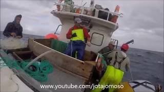 Fishing video  Pesca Açores Pesca palangre ao Imperador Longline fishing Alfonsino [upl. by Alysia212]