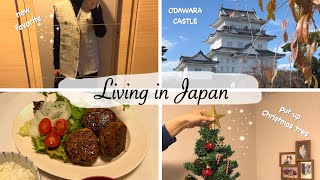 buy snacks at Daiso grocery shopping Odawara Castle put up Christmas tree🎄 Japan Vlog [upl. by Eronaele188]