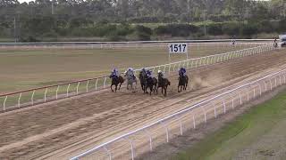 Gladstone 20240810 Race 5 [upl. by Redman]