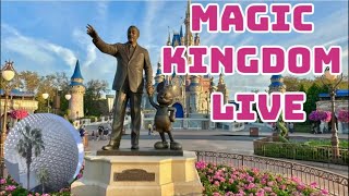 Magic Kingdom Live [upl. by Corney]