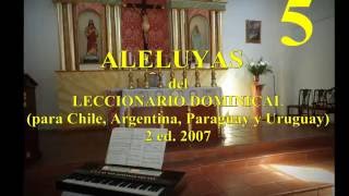 ALELUYA LITURGICO nº 5 Del Leccionario Dominical [upl. by Yatnoj]