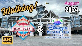 4K DISNEY BEACH CLUB amp VILLAS RESORT WALKTHROUGH new shopping relaxing best walking hotel [upl. by Lipkin]