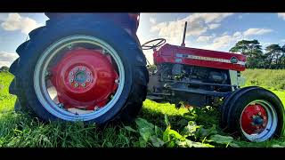 1965 Massey Ferguson 135 Tractor Restored by David Marshall [upl. by Akiret]