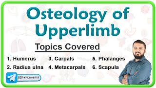 🦴 Oestology Of Upper Limb  Anatomy Lecture series 🎓🔍🕵️‍♂️ [upl. by Ymas]