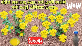 Kerala garden ideas for home Malayalam gardening flowers  പൂക്കൾ നിറയാൻ അറിയാതെ [upl. by Atteuqaj]