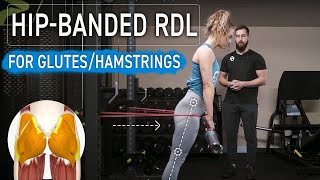 Banded Barbell Romanian Deadlift RDL  Proper Technique for Targeting Glutes [upl. by Nolos]