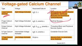 Confidently manage Hypertension HTN course  All about calcium channel blockers by Dr Sifat [upl. by Nikkie]