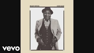 Muddy Waters  Mannish Boy Audio [upl. by Dib]