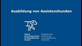 Ausbildung von Assistenzhunden – Einräumen der Waschmaschine [upl. by Hanae]