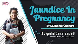 Jaundice in Pregnancy  Differential Diagnosis  Dr Shonali Chandra [upl. by Gleich]