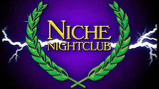 Niche  Last Night A DJ Saved My Life [upl. by Nich89]