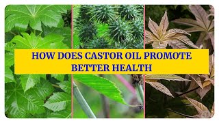 Health Benefits of Castor Oil A Comprehensive Guide [upl. by Nnylasor]