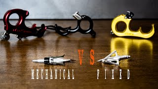 FIXED vs MECHANICAL BROADHEADS  Which one is BETTER [upl. by Debera]