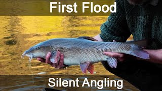 method feeder fishing for barbel  river Wye UK  Silent Angling [upl. by Laforge]