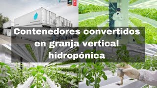 Contenedores convertidos en granja vertical hidropónica [upl. by Meda]