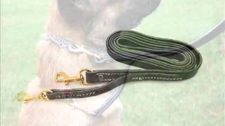 Leerburgs Prong Collar Leash [upl. by Anialahs184]