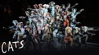 The Naming of the Cats  Cats the Musical [upl. by Remus]