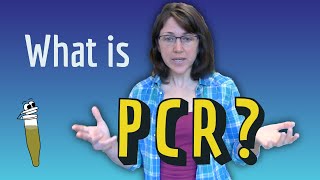 What is PCR [upl. by Fattal]