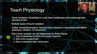 PSYC 359 Chapter 13 Touch mechanoreceptors pain phantom limb rubber hand illusion S1 [upl. by Irmine]