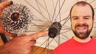 How to Remove the Cassette or Freewheel from Bike Wheels [upl. by Nnylesor531]