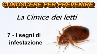 La Cimice dei Letti 7  I segni di infestazione [upl. by Ikkim]