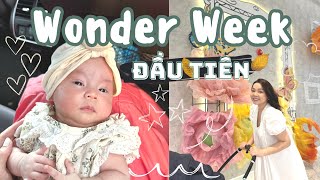 Cách Xử Lý Wonder Week Của Ba Mẹ Đã Có Kinh Nghiệm🤭Wonder Week Đầu Tiên Của Em Bé❤️ TrinhPhamFamily [upl. by Ha]