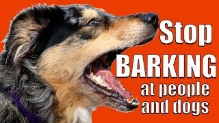 How to TEACH ANY DOG NOT to BARK at Other DOGS and PEOPLE on a Walk [upl. by Akisey282]