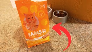 Why We Chose the Iams Chicken Cat Food How Does it Compare [upl. by Edrock]