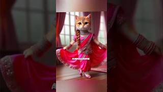 Stylish bride cat 💕💗🥰😺princess catcatcat funny catbeautiful cat trending youtuber ytshorts [upl. by Enirac]