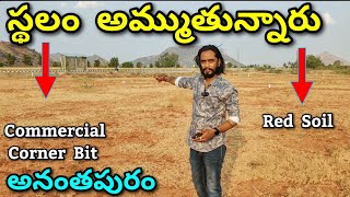 24 Cent commercial corner bit For Sale  Anantapur To Tirupati  Chennai highway [upl. by Aneleh225]