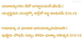 Bhagavadgita Chapter 15 recitation by Sri Brahmanandaji Swamiji  TELUGU LYRICS [upl. by Zampardi]