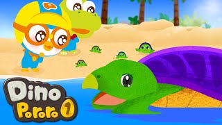 Pororo Dinosaur Adventure Season 1  Baby Archelons Birth  Dinosaur Cartoons [upl. by Schilt]