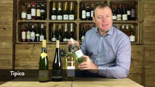 Episode 4  Top Pinot Grigio Tips [upl. by Lumbye]