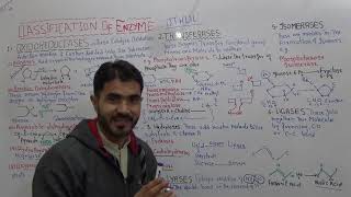 Biology 1 Enzyme classification  six classes of enzyme OTHLIL for FSC In Urdu Hindi By Dr A Hadi [upl. by Neeka417]