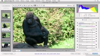 Photoshop CS6  Traitement local des images [upl. by Jedediah]