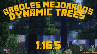 ¡Arboles Mejorados  Dynamic Trees 1165  Mod Review [upl. by Suzan]