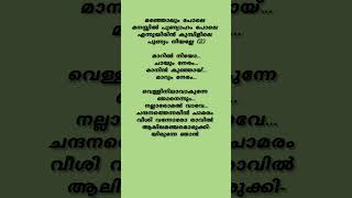 Muthe muthe❤️trending malayalamsonglyrics shorts lyrics [upl. by Elenahc453]