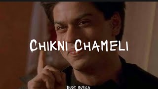 Chikni chameli lyrics [upl. by Moffitt]