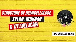 STRUCTURE OF HEMICELLULOSE XYLAN MANNAN amp XYLOGLUCAN [upl. by Forelli]