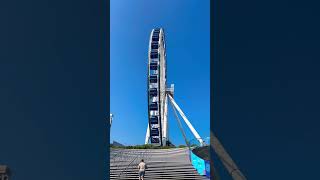 Chicago Navy Pier shorts beautiful travel shortvideo [upl. by Rosaleen676]